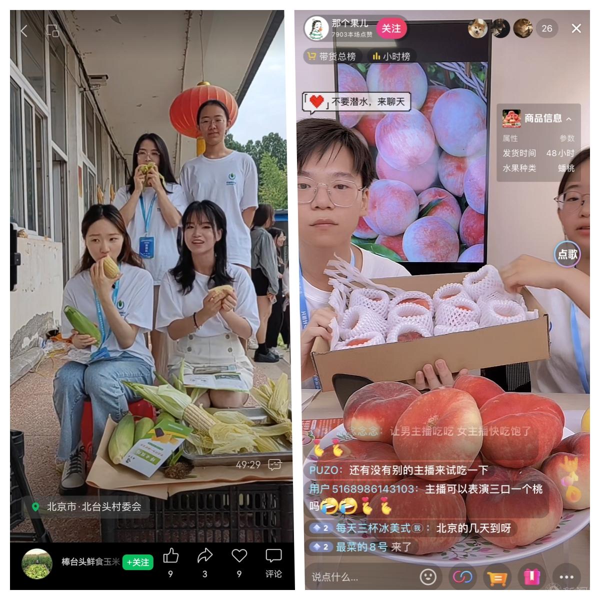 拼图.jpg
